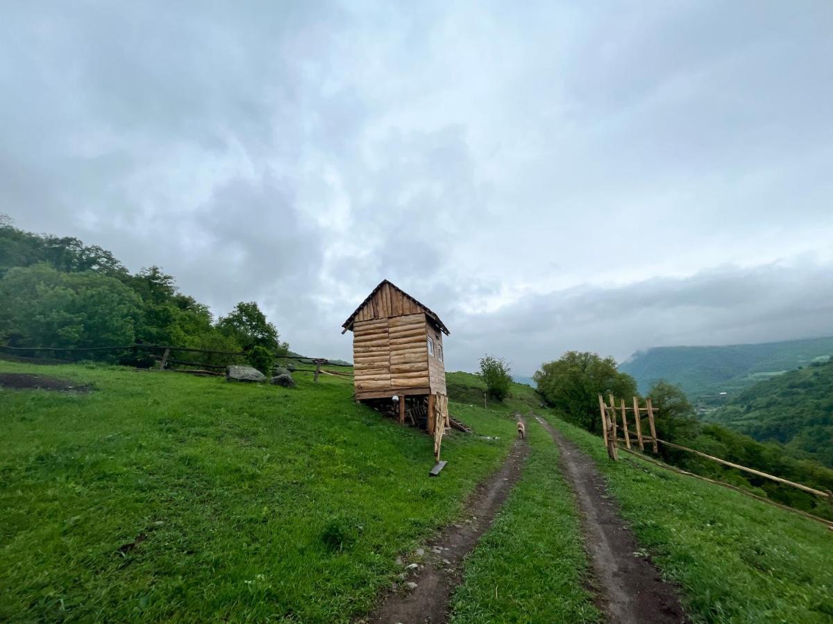 Alereks Mountain Camping Tumanyan Exteriér fotografie