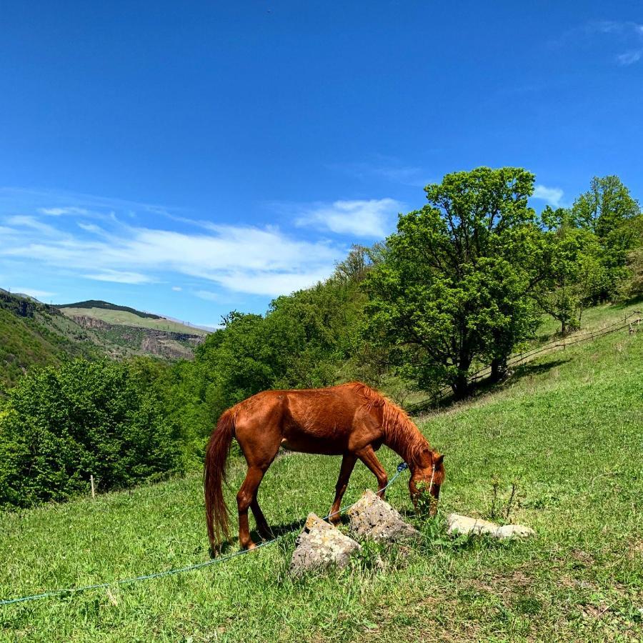Alereks Mountain Camping Tumanyan Exteriér fotografie